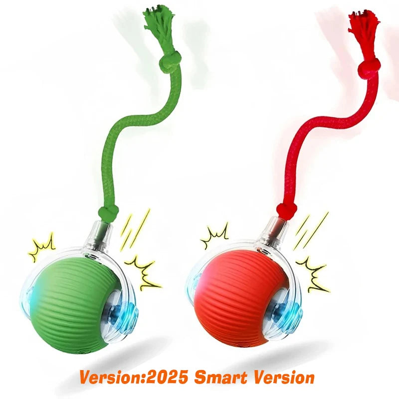 Bola de caca para pets