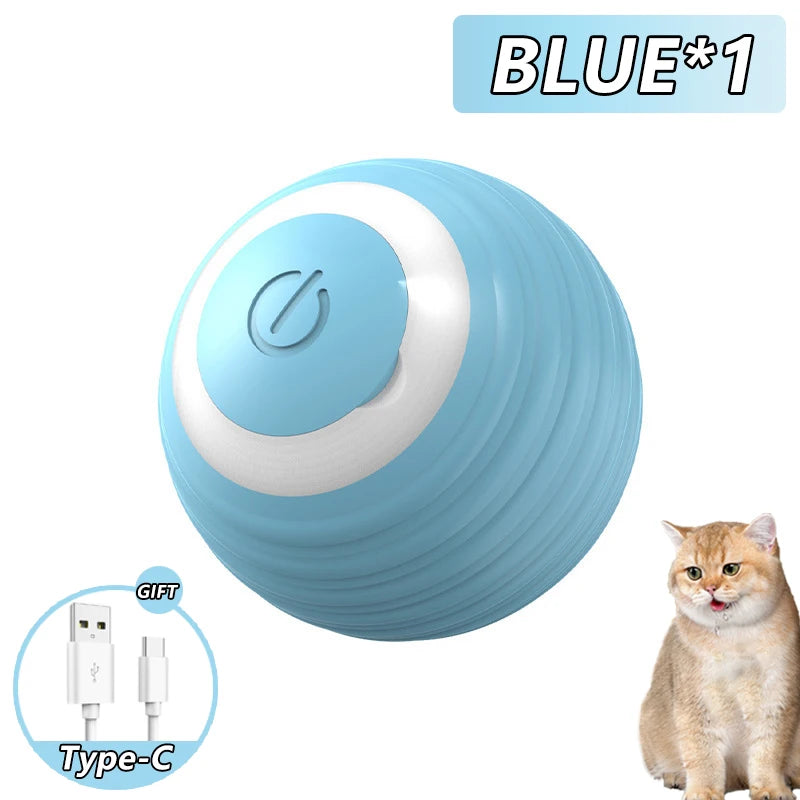 Bola Maluca para pets