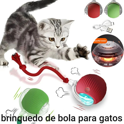 Bola de caca para pets