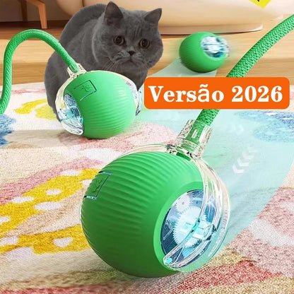 Bola de caca para pets