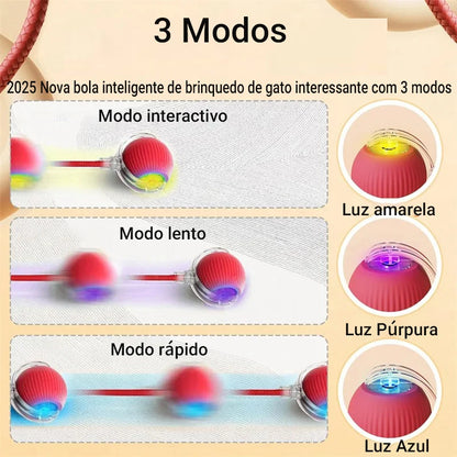 Bola de caca para pets