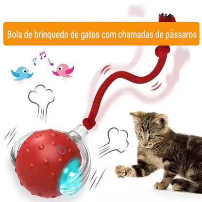Bola de caca para pets