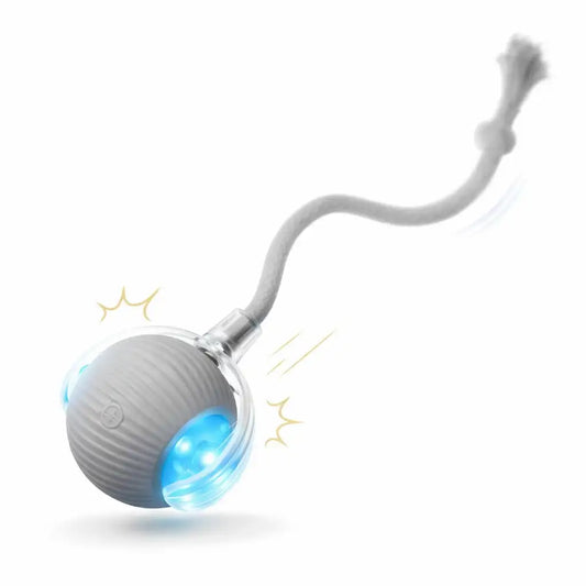 Bola de caça para pets