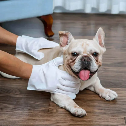 Luva Pet Umedecida
